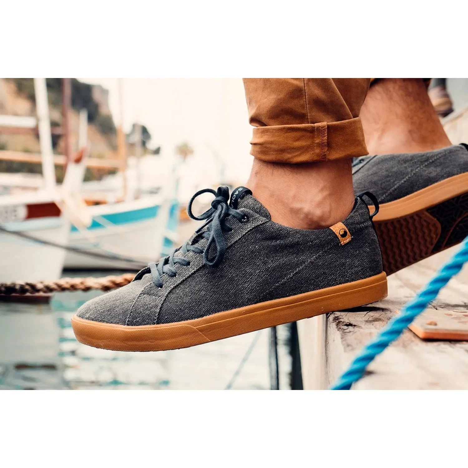 Men's Saola Cannon Dark Grey Canvas